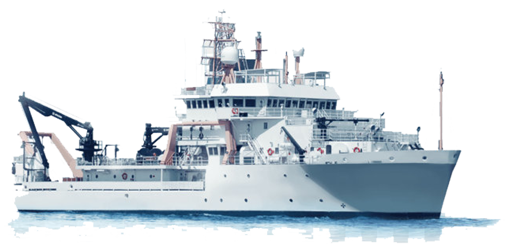 Survey Dan Verifikasi